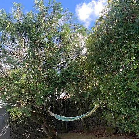 Sermar 1 Apartment Rabo de Peixe